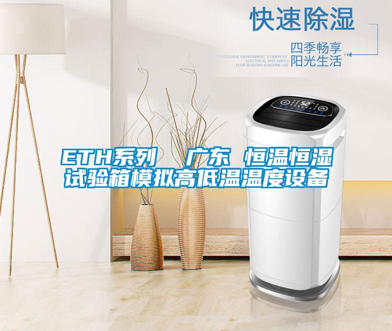 ETH系列  廣東 恒溫恒濕試驗箱模擬高低溫溫度設備