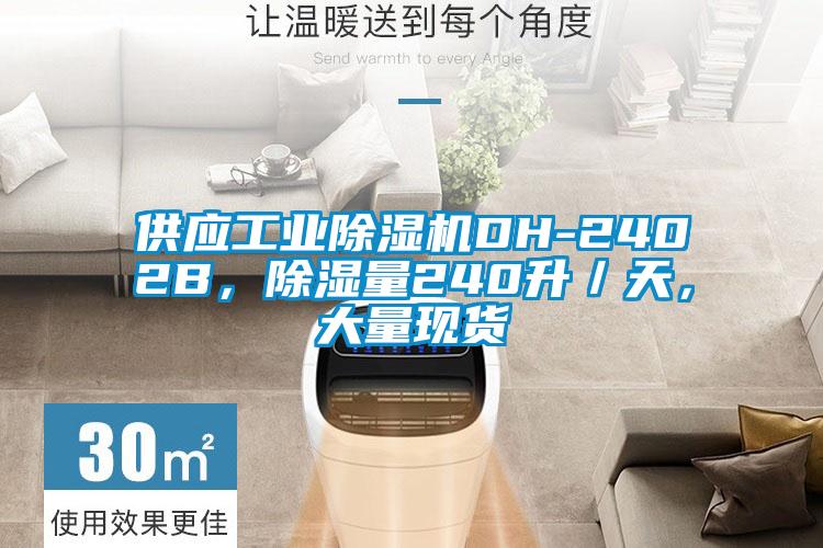 供應(yīng)工業(yè)除濕機DH-2402B，除濕量240升／天，大量現(xiàn)貨