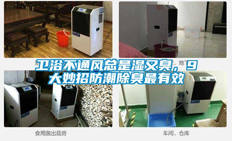 衛浴不通風總是濕又臭，9大妙招防潮除臭最有效