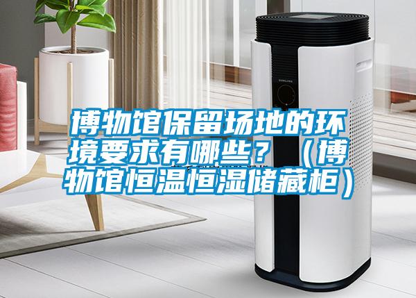 博物館保留場地的環境要求有哪些？（博物館恒溫恒濕儲藏柜）