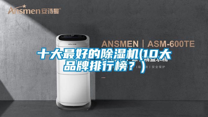 十大最好的除濕機(10大品牌排行榜？)
