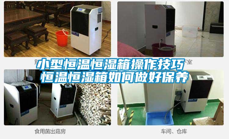 小型恒溫恒濕箱操作技巧 恒溫恒濕箱如何做好保養(yǎng)