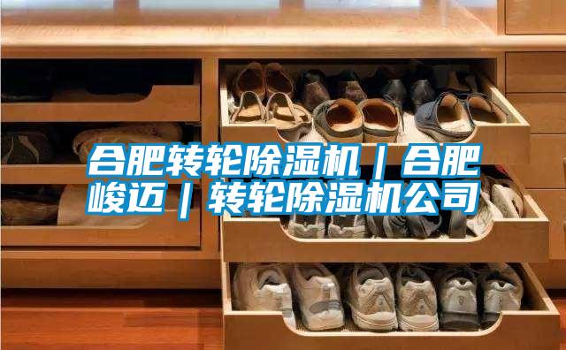 合肥轉(zhuǎn)輪除濕機(jī)｜合肥峻邁｜轉(zhuǎn)輪除濕機(jī)公司