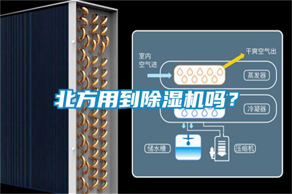 北方用到除濕機嗎？