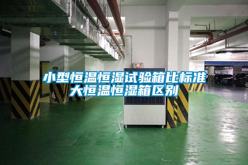 小型恒溫恒濕試驗(yàn)箱比標(biāo)準(zhǔn)大恒溫恒濕箱區(qū)別