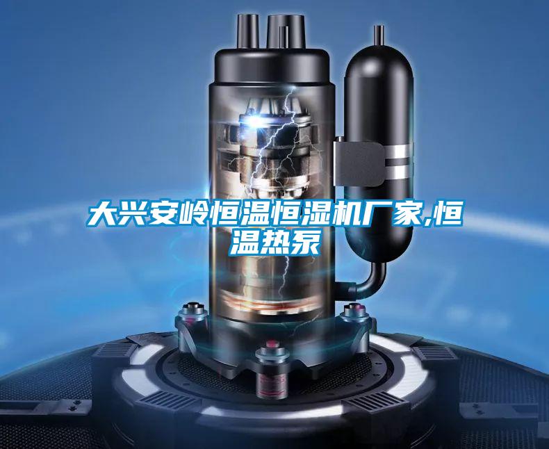 大興安嶺恒溫恒濕機廠家,恒溫熱泵