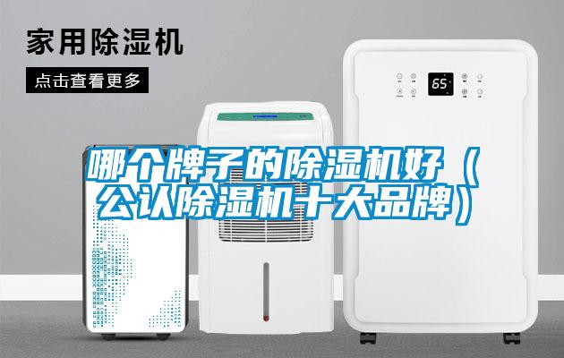 哪個牌子的除濕機好（公認除濕機十大品牌）
