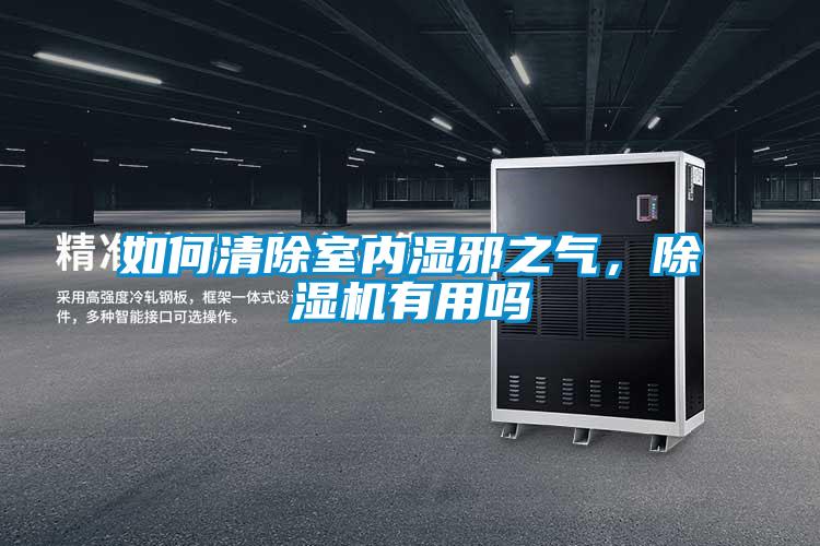 如何清除室內濕邪之氣，除濕機有用嗎