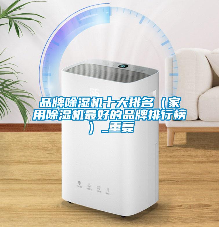 品牌除濕機十大排名（家用除濕機最好的品牌排行榜）_重復