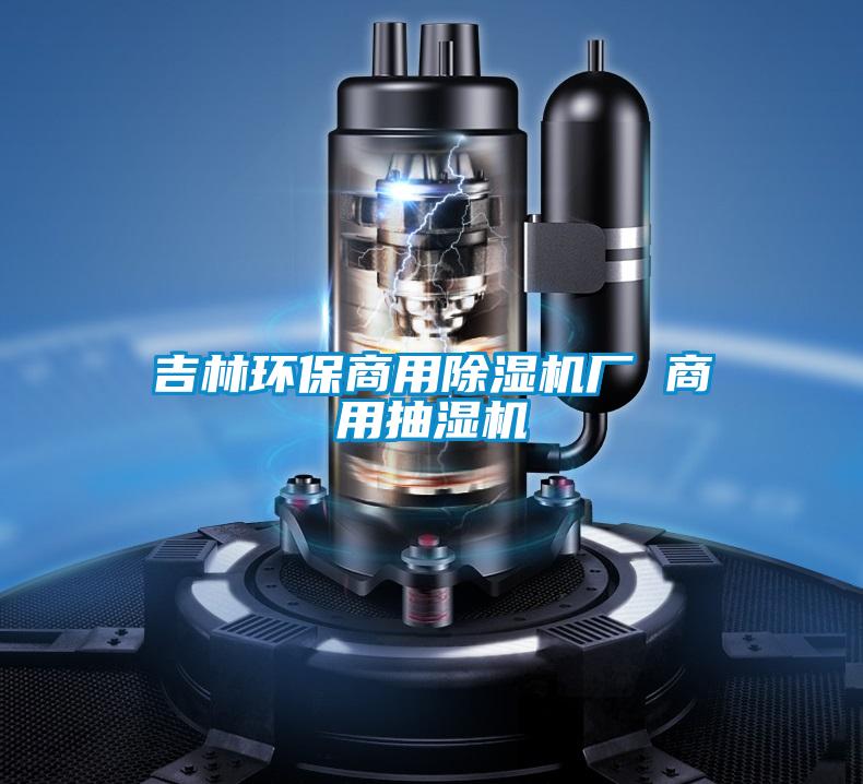 吉林環(huán)保商用除濕機廠 商用抽濕機