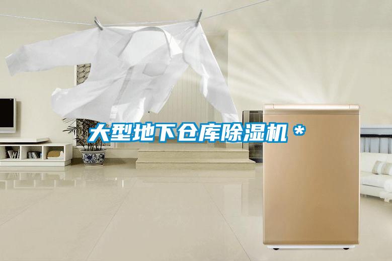 大型地下倉庫除濕機＊
