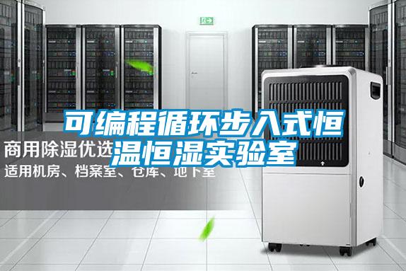 可編程循環步入式恒溫恒濕實驗室