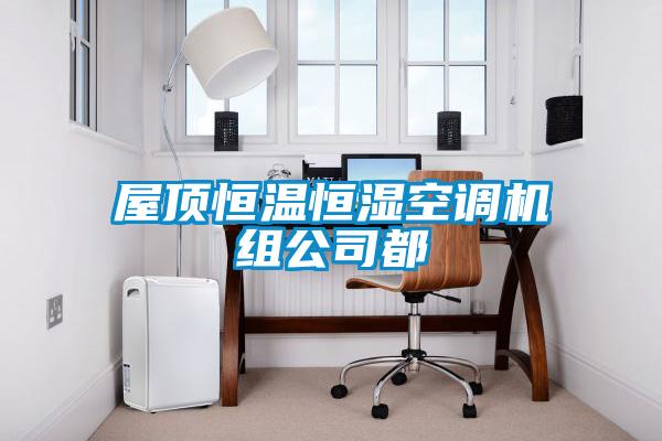 屋頂恒溫恒濕空調(diào)機(jī)組公司都