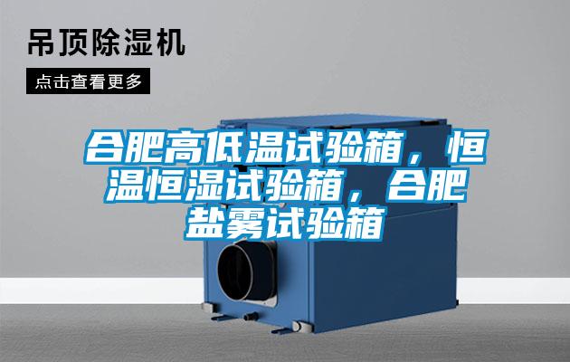 合肥高低溫試驗箱，恒溫恒濕試驗箱，合肥鹽霧試驗箱