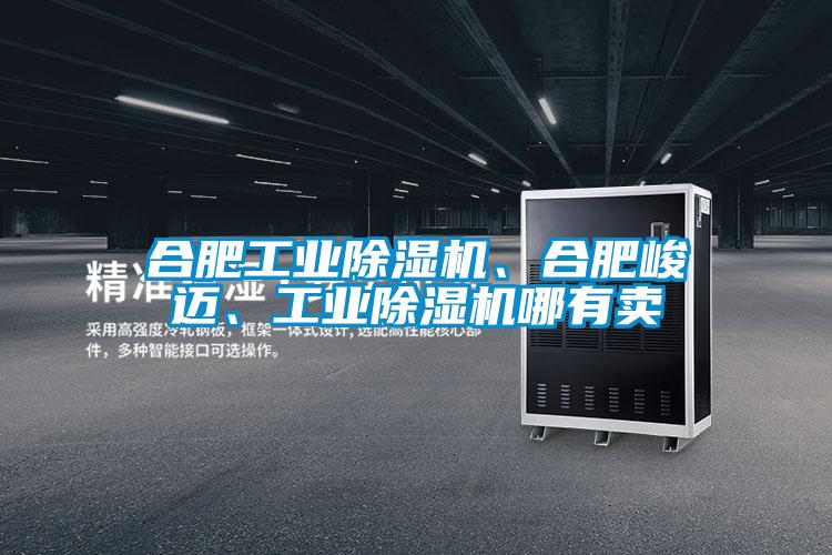 合肥工業(yè)除濕機(jī)、合肥峻邁、工業(yè)除濕機(jī)哪有賣