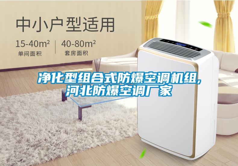 凈化型組合式防爆空調(diào)機組,河北防爆空調(diào)廠家