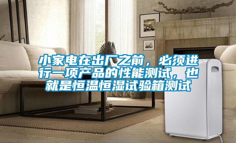小家電在出廠之前，必須進(jìn)行一項(xiàng)產(chǎn)品的性能測(cè)試，也就是恒溫恒濕試驗(yàn)箱測(cè)試