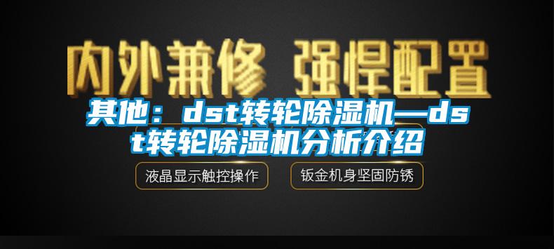 其他：dst轉(zhuǎn)輪除濕機(jī)—dst轉(zhuǎn)輪除濕機(jī)分析介紹