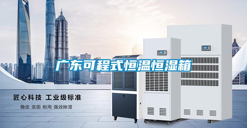 廣東可程式恒溫恒濕箱