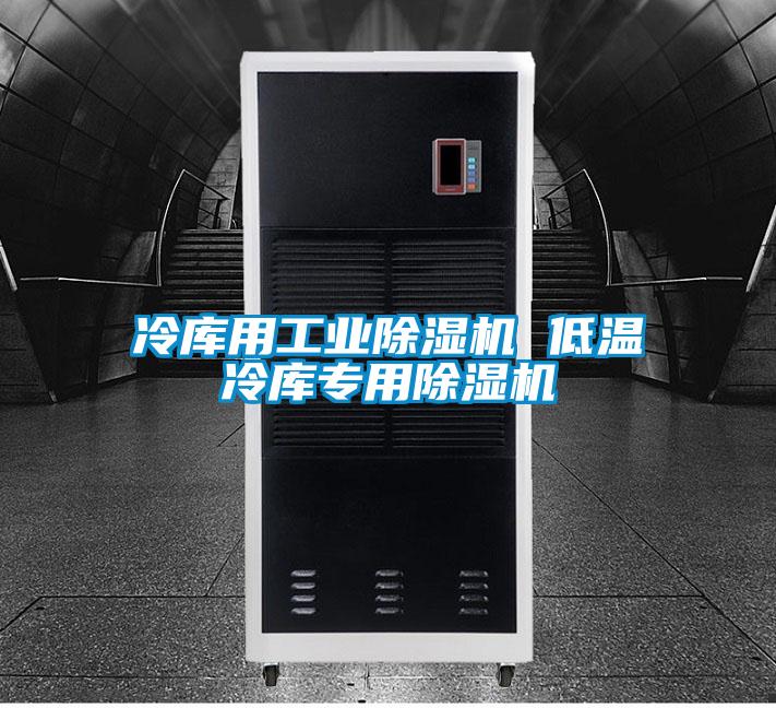 冷庫用工業(yè)除濕機(jī) 低溫冷庫專用除濕機(jī)