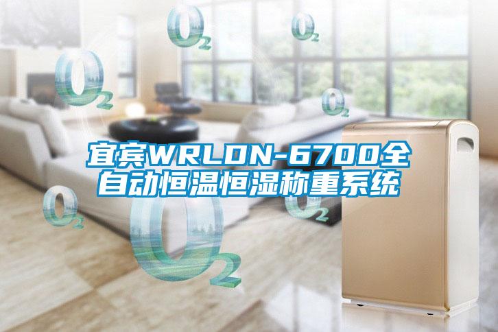 宜賓WRLDN-6700全自動恒溫恒濕稱重系統