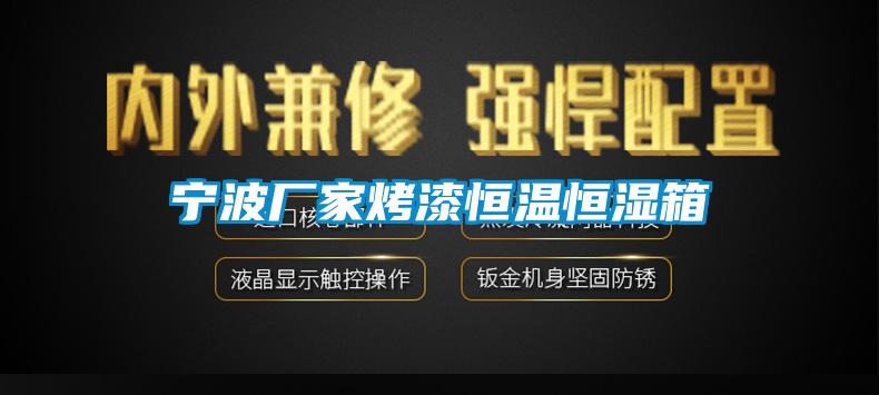 寧波廠家烤漆恒溫恒濕箱