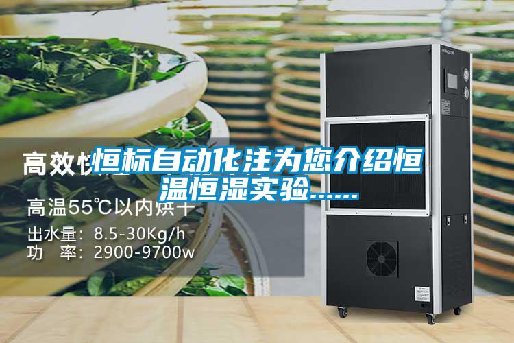 恒標(biāo)自動(dòng)化注為您介紹恒溫恒濕實(shí)驗(yàn)......