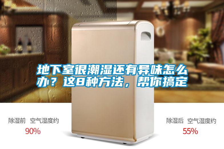 地下室很潮濕還有異味怎么辦？這8種方法，幫你搞定