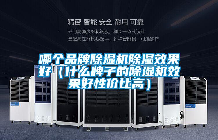 哪個品牌除濕機除濕效果好（什么牌子的除濕機效果好性價比高）