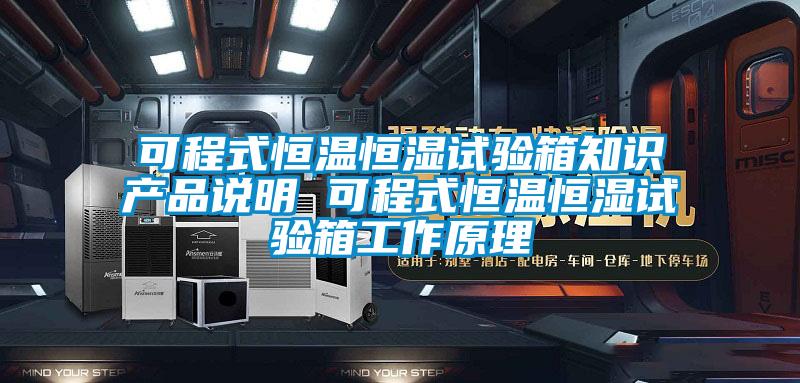 可程式恒溫恒濕試驗箱知識產(chǎn)品說明 可程式恒溫恒濕試驗箱工作原理
