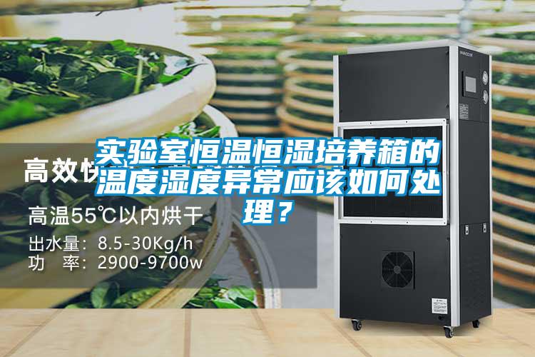 實驗室恒溫恒濕培養箱的溫度濕度異常應該如何處理？