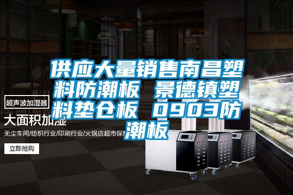 供應(yīng)大量銷售南昌塑料防潮板 景德鎮(zhèn)塑料墊倉板 0903防潮板