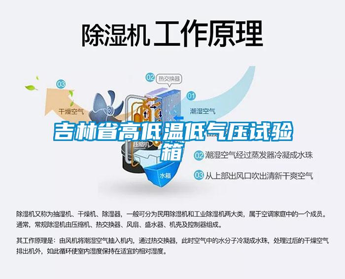 吉林省高低溫低氣壓試驗箱