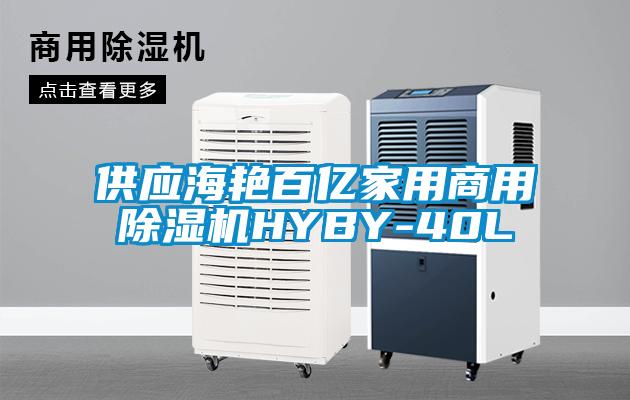 供應(yīng)海艷百億家用商用除濕機HYBY-40L