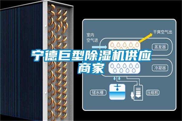 寧德巨型除濕機供應商家