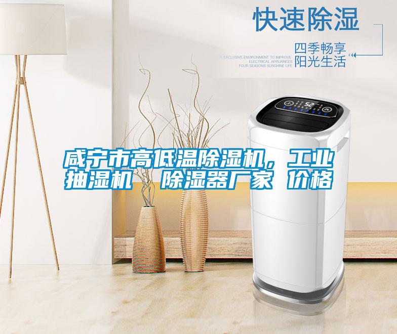 咸寧市高低溫除濕機，工業抽濕機  除濕器廠家 價格