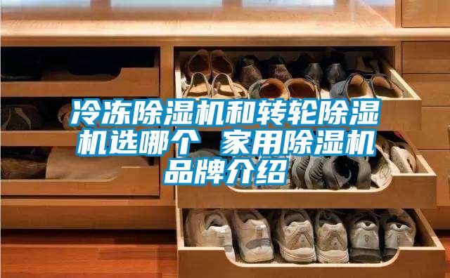 冷凍除濕機(jī)和轉(zhuǎn)輪除濕機(jī)選哪個(gè) 家用除濕機(jī)品牌介紹
