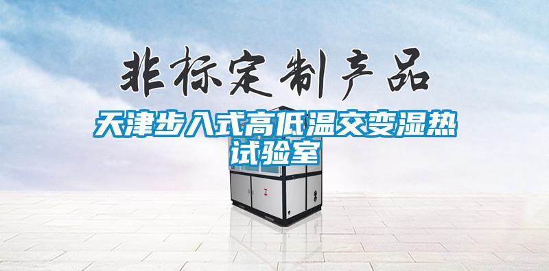 天津步入式高低溫交變濕熱試驗室