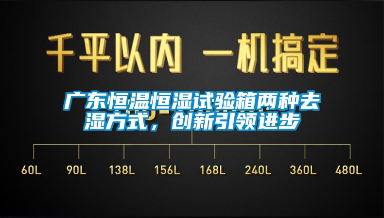 廣東恒溫恒濕試驗箱兩種去濕方式，創新引領進步