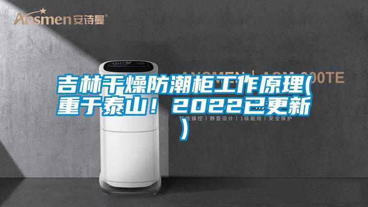 吉林干燥防潮柜工作原理(重于泰山！2022已更新)