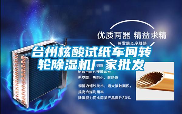 臺州核酸試紙車間轉輪除濕機廠家批發