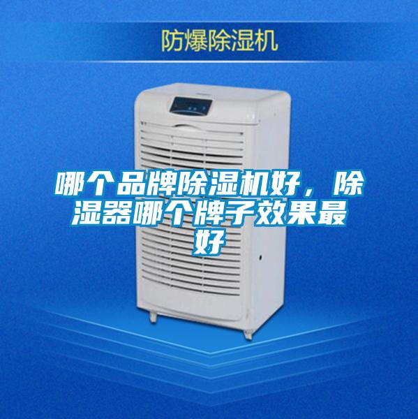 哪個品牌除濕機好，除濕器哪個牌子效果最好
