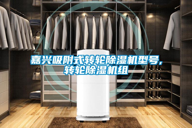 嘉興吸附式轉輪除濕機型號,轉輪除濕機組