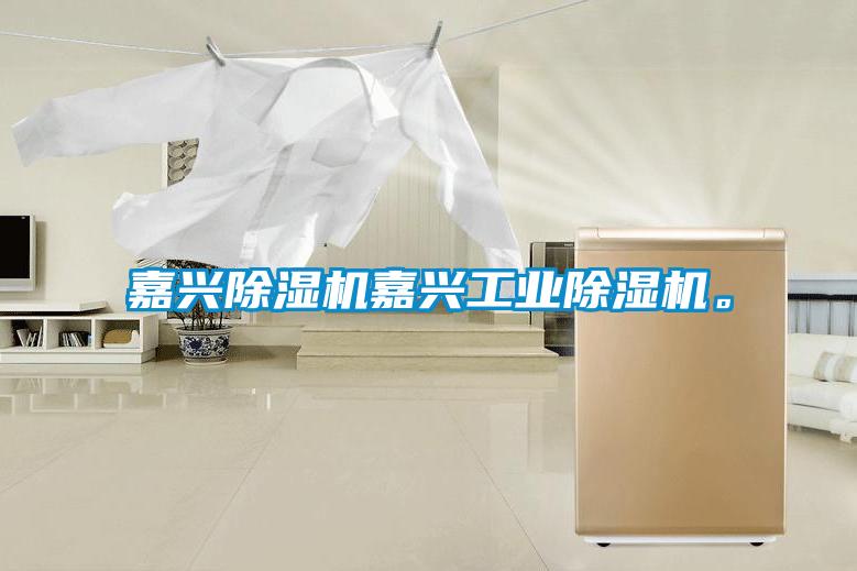 嘉興除濕機(jī)嘉興工業(yè)除濕機(jī)。