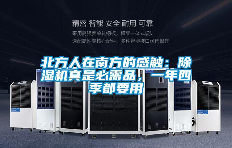 北方人在南方的感觸：除濕機真是必需品，一年四季都要用