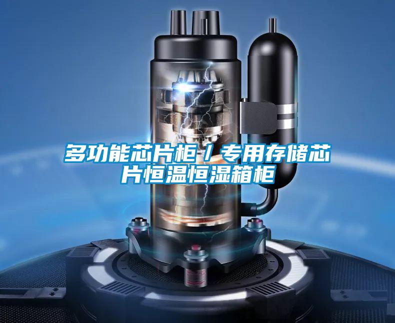 多功能芯片柜/專用存儲芯片恒溫恒濕箱柜
