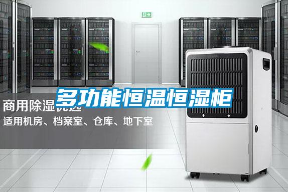 多功能恒溫恒濕柜