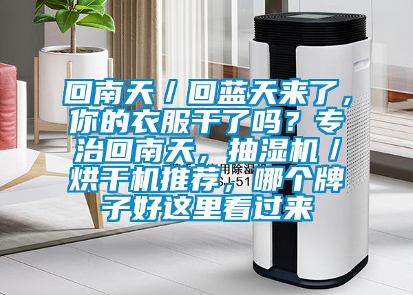 回南天／回藍天來了，你的衣服干了嗎？專治回南天，抽濕機／烘干機推薦，哪個牌子好這里看過來