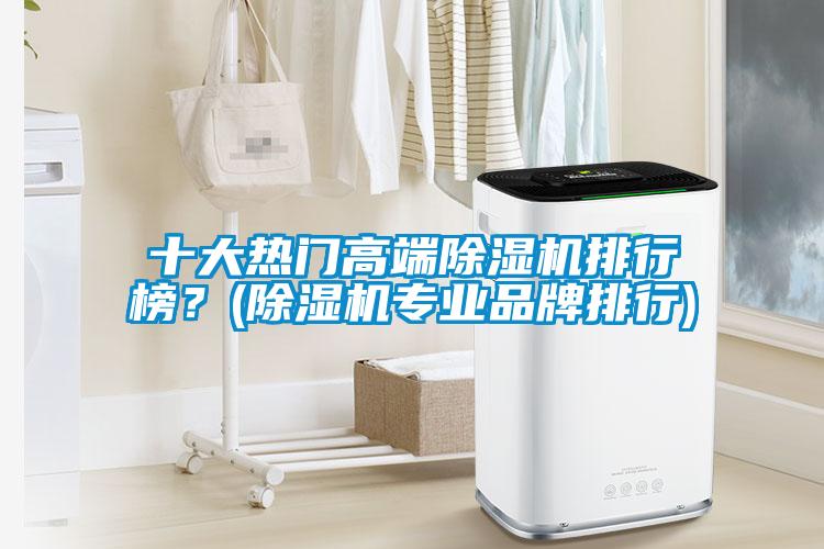 十大熱門高端除濕機排行榜？(除濕機專業品牌排行)