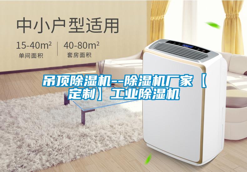 吊頂除濕機--除濕機廠家【定制】工業除濕機